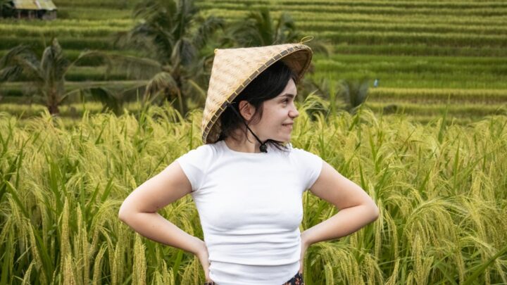 Panen Lebih Berkah dengan Rotasi Tanaman Padi