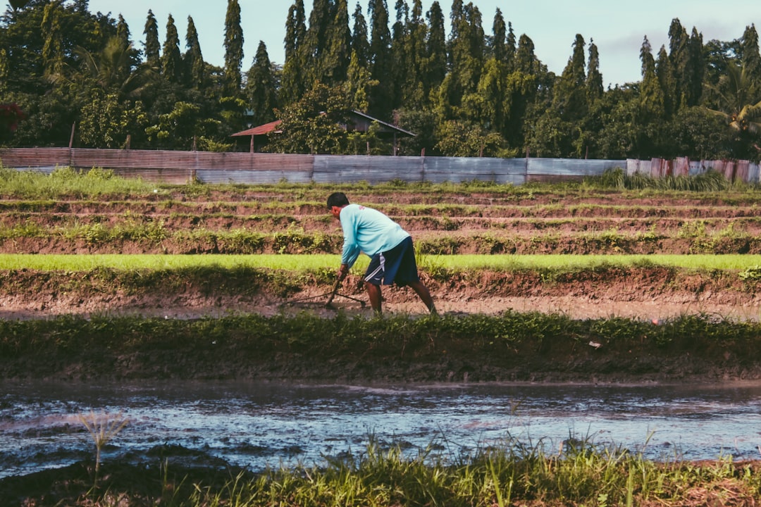 Cara Bikin Pagar Hidup dari Tanaman Lokal Usir Hama