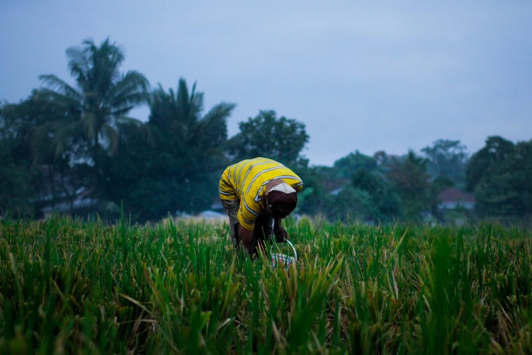 Panen Berlimpah: 5 Tips Mudah untuk Petani Kecil!