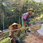 Panen Untung: 5 Jurus Jitu Petani Cerdas!