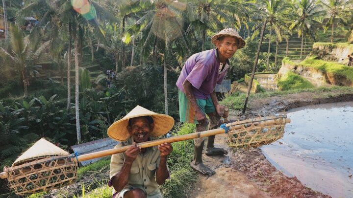 Panen Untung: 5 Jurus Jitu Petani Cerdas!