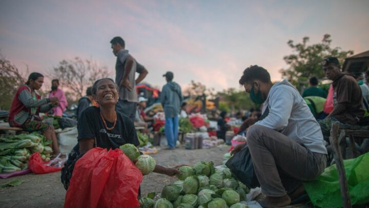 Strategi Jitu Petani Kecil: Pahami Pasar, Untung Makin Besar!