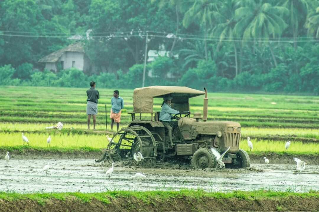 Jurus Ampuh Rotasi Tanaman: Usir Hama & Penyakit Tanpa Ribet!