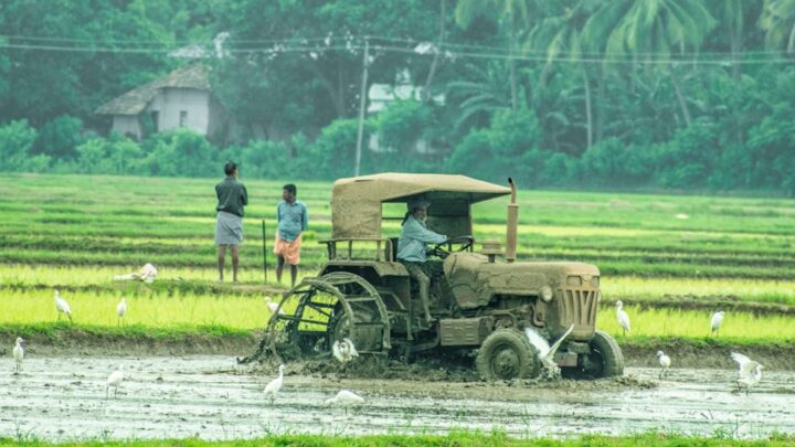 Jurus Ampuh Rotasi Tanaman: Usir Hama & Penyakit Tanpa Ribet!