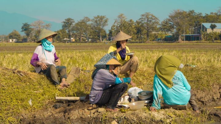 Panen Lebih Banyak dengan Rotasi Tanaman: Panduan Mudah untuk Petani!
