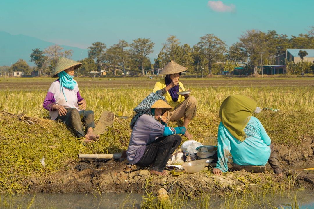 Panen Lebih Banyak dengan Rotasi Tanaman: Panduan Mudah untuk Petani!