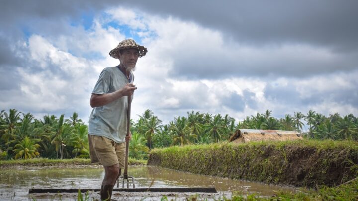 Panen Lebih Cuan: 3 Jurus Jitu Petani Cerdas!