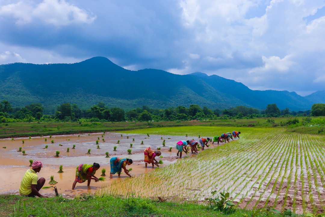 Panen Lebih Untung dengan Rotasi Tanaman: Panduan Mudah untuk Petani
