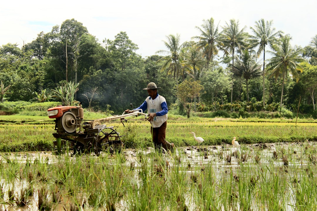 Pupuk Hemat, Panen Hebat: Jurus Rotasi Tanaman!