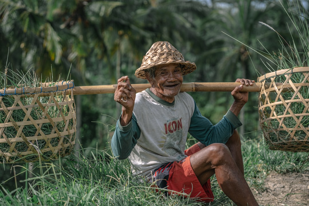 Strategi Hybrid: Jual Panen Langsung atau Olah Dulu?