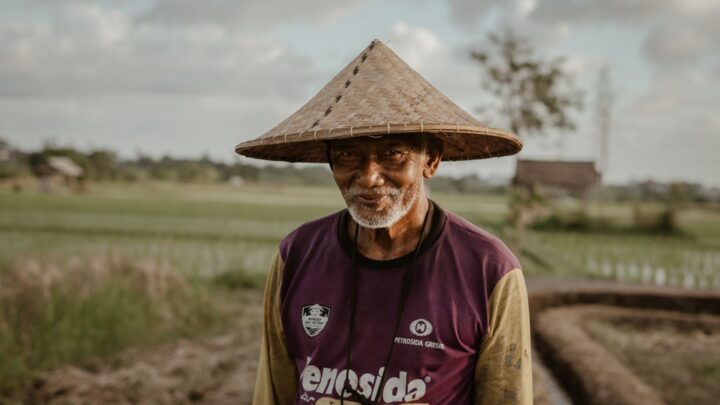 Panen Lebih Banyak dengan Rotasi Tanaman: Jurus Ampuh Petani!